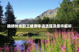 魏桥创业职工楼房申请流程及条件解析