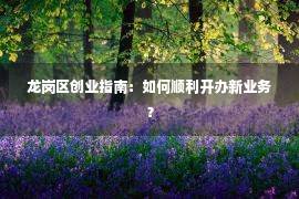 龙岗区创业指南：如何顺利开办新业务？