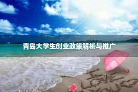 青岛大学生创业政策解析与推广