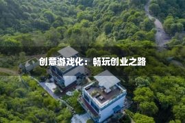 创意游戏化：畅玩创业之路