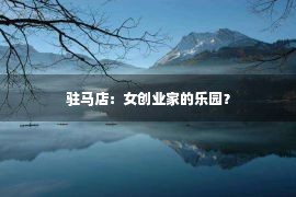 驻马店：女创业家的乐园？