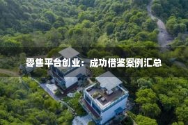 零售平台创业：成功借鉴案例汇总