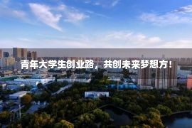 青年大学生创业路，共创未来梦想方！