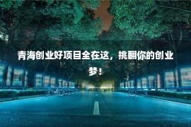 青海创业好项目全在这，挑翻你的创业梦！