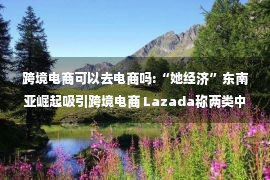 跨境电商可以去电商吗:“她经济”东南亚崛起吸引跨境电商 Lazada称两类中国品牌出海各有所长