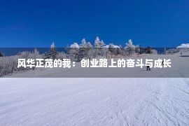 风华正茂的我：创业路上的奋斗与成长