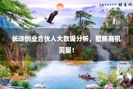 长沙创业合伙人大数据分析，聚焦商机洞察！