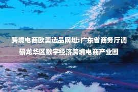 跨境电商欧美选品网址:广东省商务厅调研龙华区数字经济跨境电商产业园