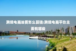 跨境电商油费怎么算钱:跨境电商平台主要有哪些