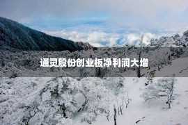 通灵股份创业板净利润大增