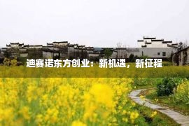 迪赛诺东方创业：新机遇，新征程