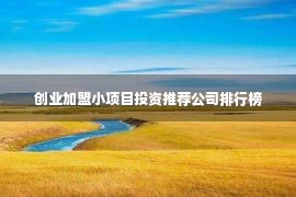 创业加盟小项目投资推荐公司排行榜