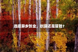 选择异乡创业，划算还是冒险？