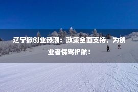 辽宁掀创业热潮：政策全面支持，为创业者保驾护航！