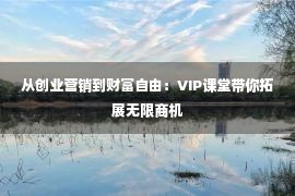 从创业营销到财富自由：VIP课堂带你拓展无限商机