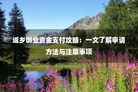 返乡创业资金支付攻略：一文了解申请方法与注意事项