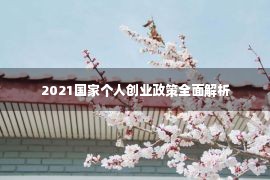 2021国家个人创业政策全面解析