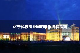 辽宁科技创业园的申报流程指南