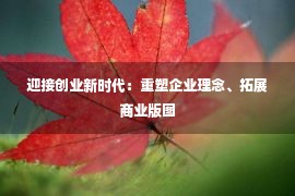 迎接创业新时代：重塑企业理念、拓展商业版图