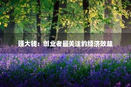 赚大钱：创业者最关注的经济效益