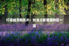 打造城市新名片：创业之都营商热区一览