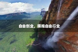 自由创业，拥抱自由行业