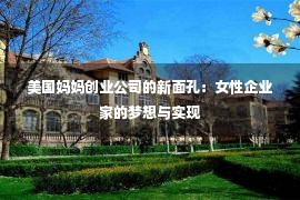 美国妈妈创业公司的新面孔：女性企业家的梦想与实现