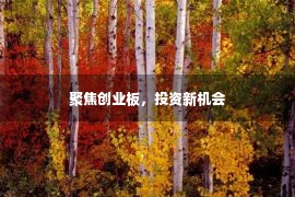 聚焦创业板，投资新机会