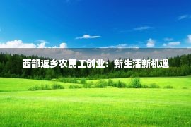 西部返乡农民工创业：新生活新机遇