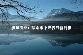 肺鱼创业：探索水下世界的新商机