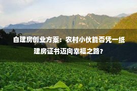 自建房创业方案：农村小伙能否凭一纸建房证书迈向幸福之路？