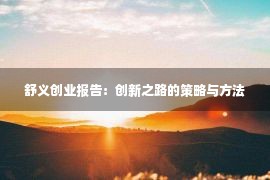 舒义创业报告：创新之路的策略与方法