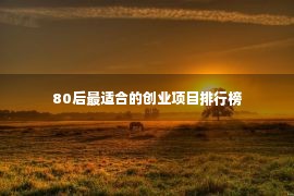 80后最适合的创业项目排行榜