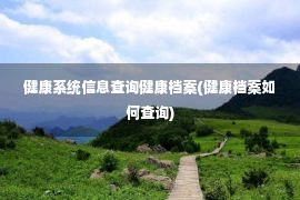 健康系统信息查询健康档案(健康档案如何查询)