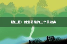 翟山鹰：创业思维的三个关键点