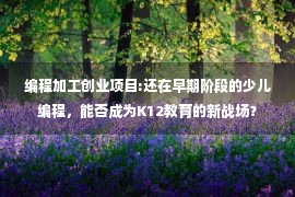 编程加工创业项目:还在早期阶段的少儿编程，能否成为K12教育的新战场？