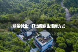 粮茶创业：打造健康生活新方式