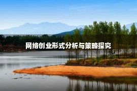 网络创业形式分析与策略探究