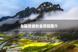 车厢改装创业项目简介