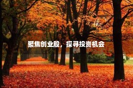 聚焦创业股，探寻投资机会