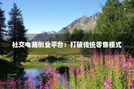 社交电商创业平台：打破传统零售模式