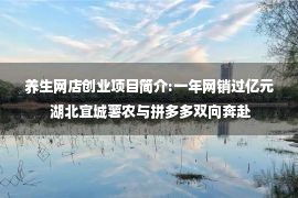 养生网店创业项目简介:一年网销过亿元 湖北宜城薯农与拼多多双向奔赴