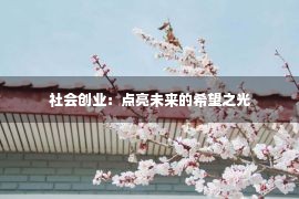 社会创业：点亮未来的希望之光