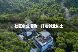 社区创业活动：打造创业热土