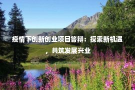 疫情下创新创业项目答辩：探索新机遇，共筑发展兴业