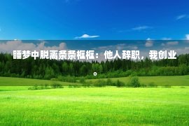 睡梦中脱离条条框框：他人辞职，我创业。