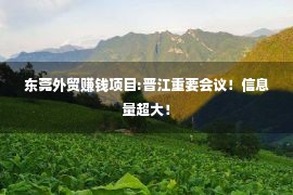 东莞外贸赚钱项目:晋江重要会议！信息量超大！