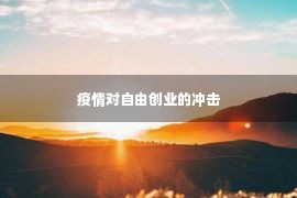 疫情对自由创业的冲击