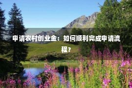 申请农村创业金：如何顺利完成申请流程？