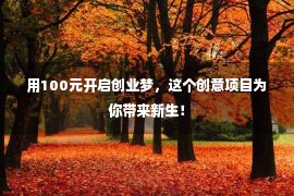 用100元开启创业梦，这个创意项目为你带来新生！